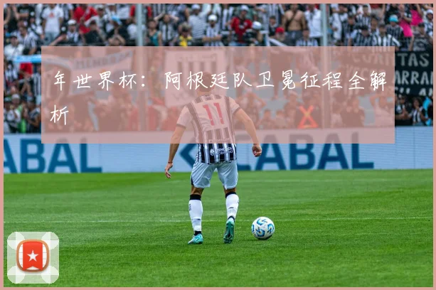年世界杯:阿根廷队卫冕征程全解析