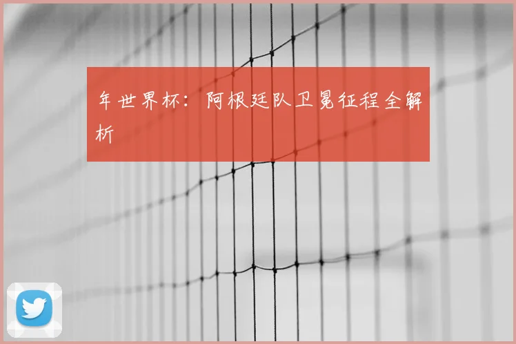 年世界杯：阿根廷队卫冕征程全解析
