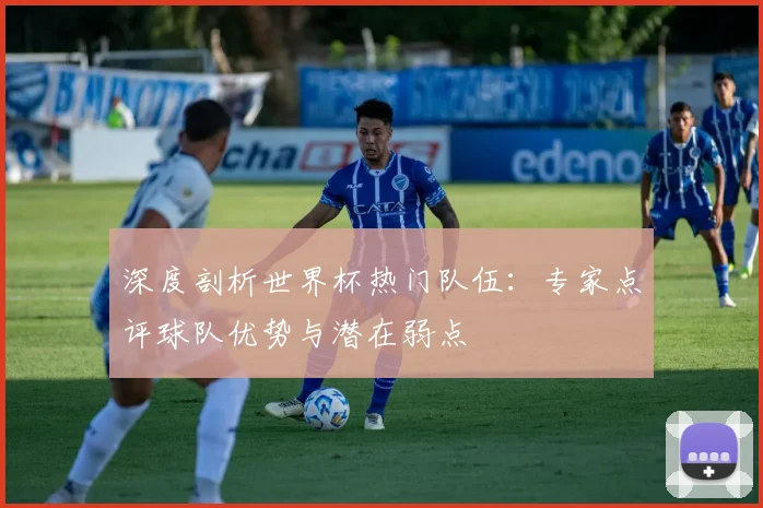 深度剖析世界杯热门队伍：专家点评球队优势与潜在弱点