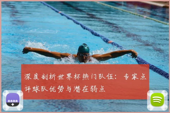 深度剖析世界杯热门队伍：专家点评球队优势与潜在弱点